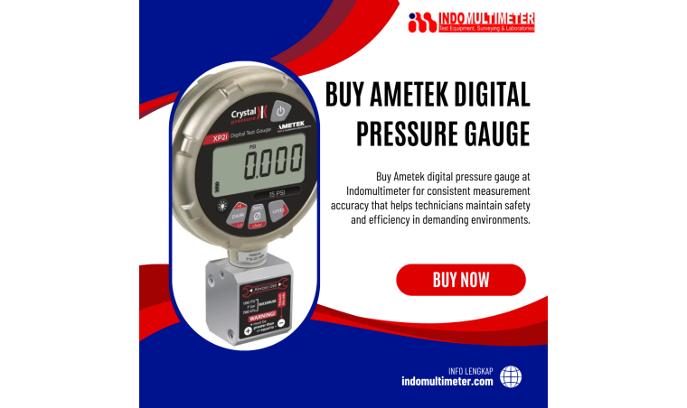 Buy Ametek digital pressure gauge