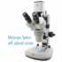 Aven Tools DSZV-44 [DSZV44-506] Trinocular Stereo Zoom Microscope (10x - 44x), 280 mm Track Stand with Overhead and Backlight LEDs