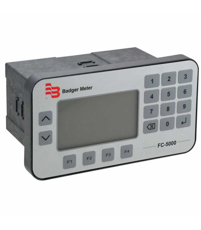 Badger Meter FC-5000 [FC5-BM-P1-AC6AP] BTU Monitor, Two Analog Outputs, Panel