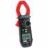 Chauvin Arnoux F201 [P01120921] 1000V AC/DC TRMS Clamp Meter