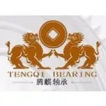 TENGQI (China) 