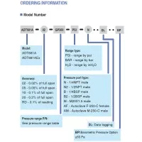 Additel ADT681A [ADT681A-10] Digital Pressure Gauge, 0.1% FS Accuracy - Gauge