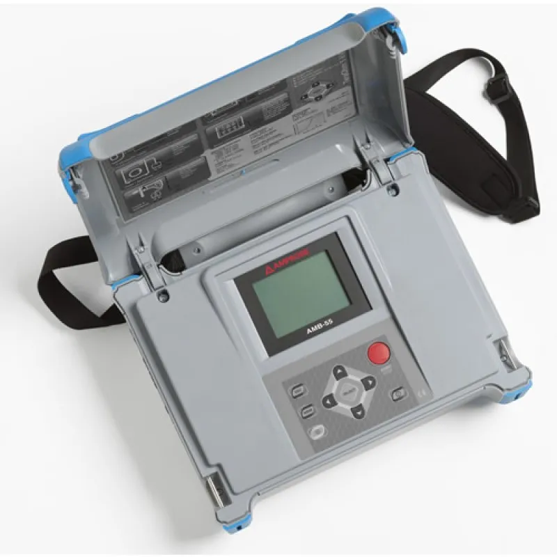 Amprobe AMB-55 [3730320] Industrial High-Voltage Insulation Tester