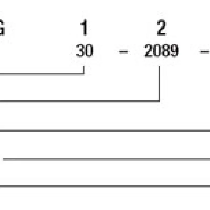 Ashcroft GC35 Digital Pressure Sensor