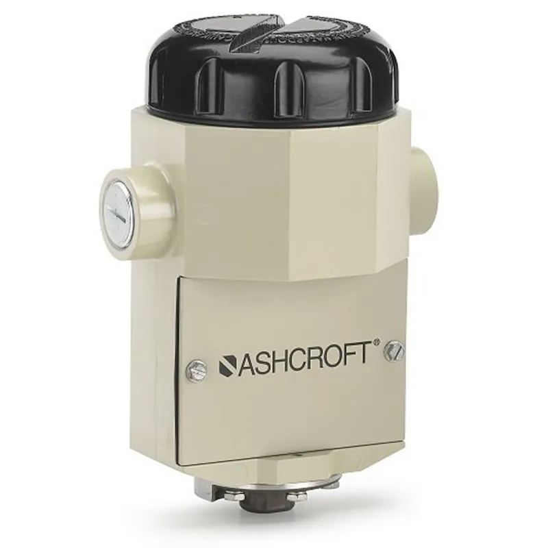 Ashcroft P Series Single Setpoint Differential Pressure Switch