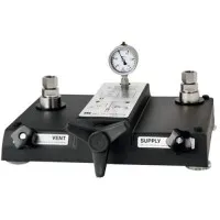 DH-Budenberg CPP120-X [CPP120-X-P-NZZC-Z-ZZ] Comparison Pump, Standard NPT,  120 bar