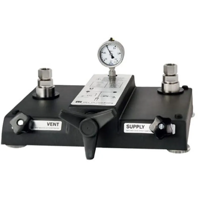 DH-Budenberg CPP120-X [CPP120-X-P-NZZC-Z-ZZ] Comparison Pump, Standard NPT,  120 bar