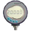 Druck DPI 104 Digital Pressure Gauge (28 Models In This Product Family)