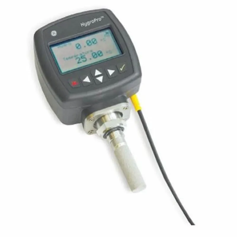 GE Panametrics HygroPro