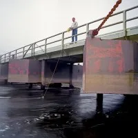 Hach Intellical LDO101 [LDO10130] Field Luminescent/Optical Dissolved Oxygen (DO) Sensor, 30 m Cable