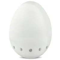 MadgeTech EggTemp-RH [EGGTEMP-RH] Temperature and Humidity Data Logger