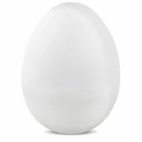 MadgeTech EggTemp [EGGTEMP] Temperature Data Logger