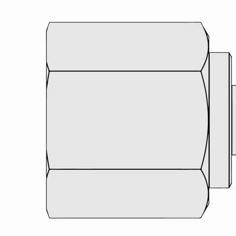Ralston QTHA [QTHA-2FSA] 1/4" Female NPT x Female Quick-Test Gauge Adapter, Stainless Steel