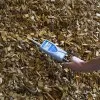 Schaller Humimeter BLL Wood Chip Moisture Meter With Insertion Probe