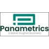 Panametrics