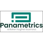 Panametrics