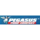 Pegasus Alexis