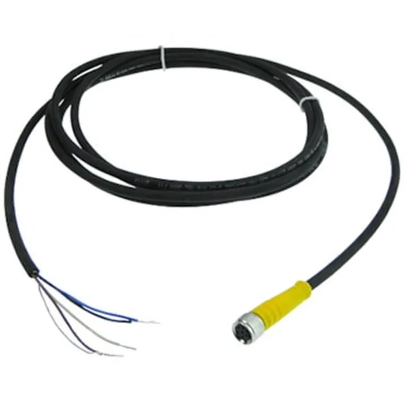 Panametrics 230-049-01 Kabel Panjang 2 Meter dan Konektor M8